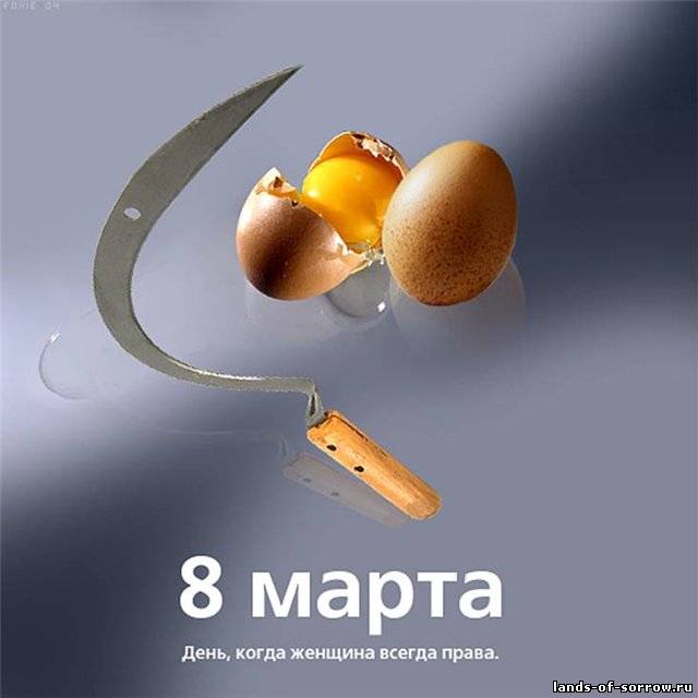 78946355.jpg